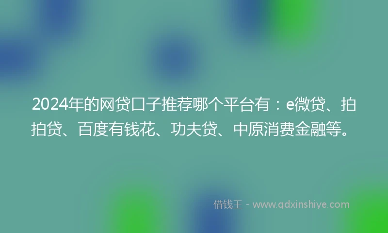 2024年的网贷口子推荐哪个平台有：e微贷、拍拍贷、百度有钱花、功夫贷、中原消费金融等。