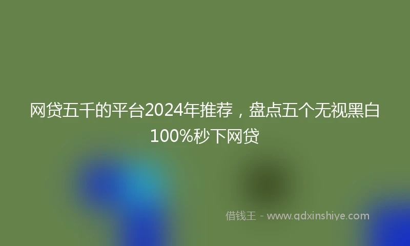 网贷五千的平台2024年推荐，盘点五个无视黑白100%秒下网贷