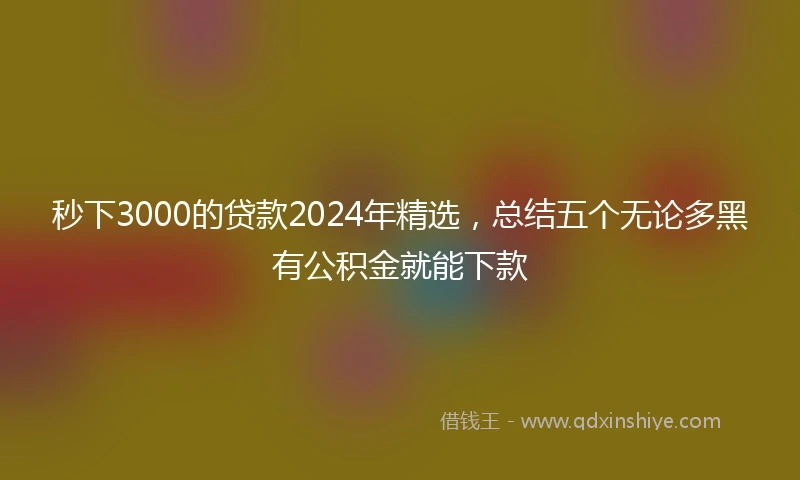秒下3000的贷款2024年精选，总结五个无论多黑有公积金就能下款