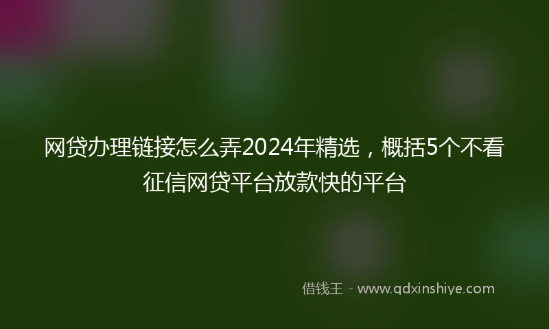 网贷办理链接怎么弄2024年精选，概括5个不看征信网贷平台放款快的平台