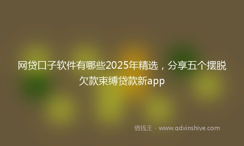 网贷口子软件有哪些2025年精选，分享五个摆脱欠款束缚贷款新app