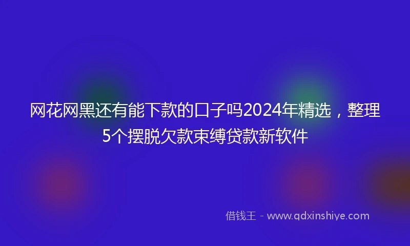 网花网黑还有能下款的口子吗2024年精选，整理5个摆脱欠款束缚贷款新软件