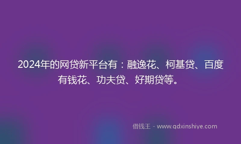 2024年的网贷新平台有：融逸花、柯基贷、百度有钱花、功夫贷、好期贷等。
