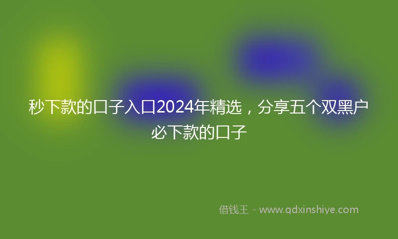 秒下款的口子入口2024年精选，分享五个双黑户必下款的口子