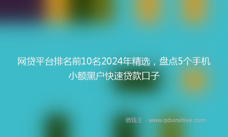 网贷平台排名前10名2024年精选，盘点5个手机小额黑户快速贷款口子