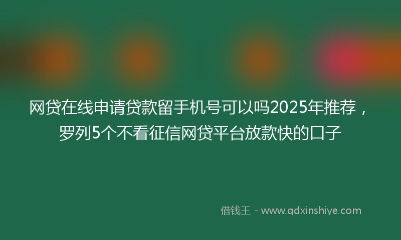 网贷在线申请贷款留手机号可以吗2025年推荐，罗列5个不看征信网贷平台放款快的口子