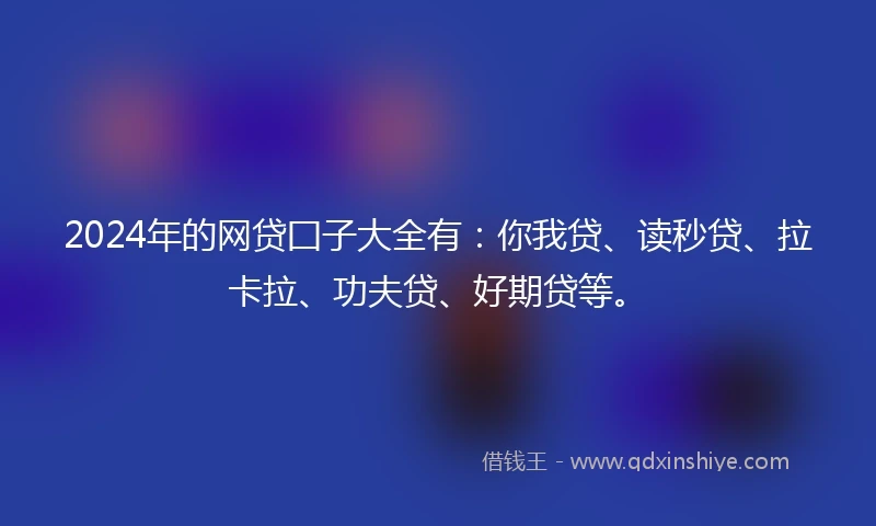 2024年的网贷囗子大全有：你我贷、读秒贷、拉卡拉、功夫贷、好期贷等。