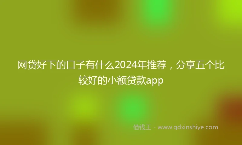 网贷好下的口子有什么2024年推荐，分享五个比较好的小额贷款app