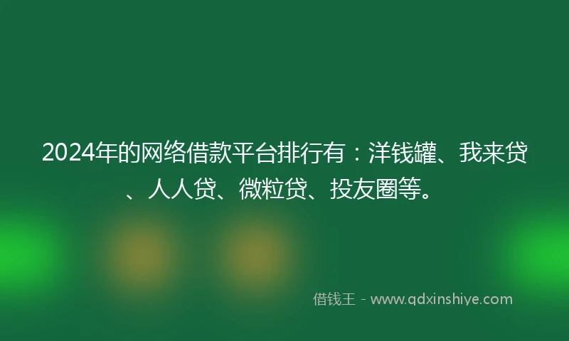2024年的网络借款平台排行有：洋钱罐、我来贷、人人贷、微粒贷、投友圈等。