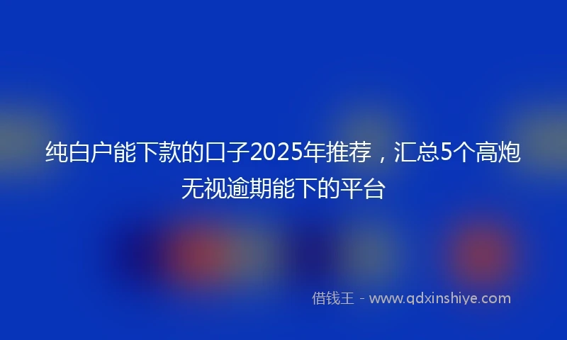 纯白户能下款的口子2025年推荐，汇总5个高炮无视逾期能下的平台