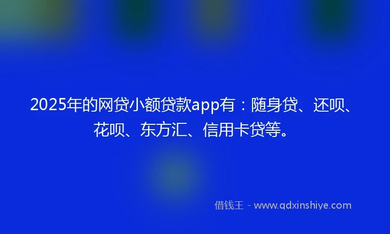 2025年的网贷小额贷款app有：随身贷、还呗、花呗、东方汇、信用卡贷等。