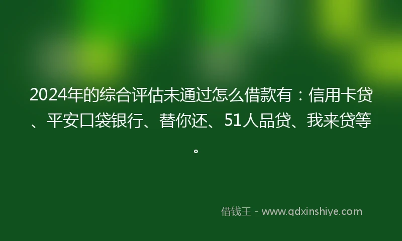 2024年的综合评估未通过怎么借款有：信用卡贷、平安口袋银行、替你还、51人品贷、我来贷等。