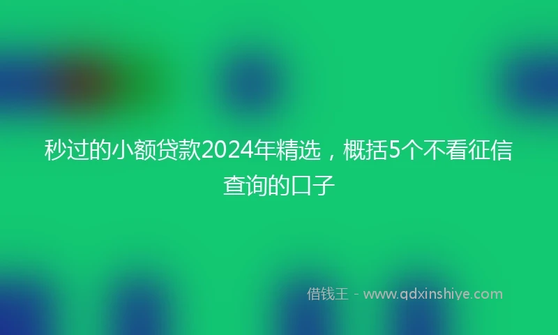 秒过的小额贷款2024年精选，概括5个不看征信查询的口子