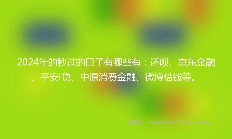 2024年的秒过的口子有哪些有：还呗、京东金融、平安i贷、中原消费金融、微博借钱等。