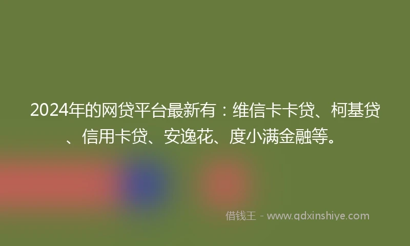 2024年的网贷平台最新有：维信卡卡贷、柯基贷、信用卡贷、安逸花、度小满金融等。