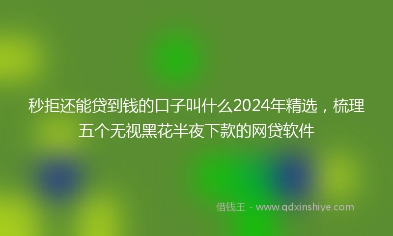 秒拒还能贷到钱的口子叫什么2024年精选，梳理五个无视黑花半夜下款的网贷软件