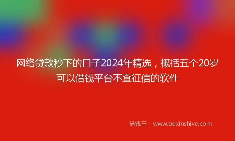 网络贷款秒下的口子2024年精选，概括五个20岁可以借钱平台不查征信的软件