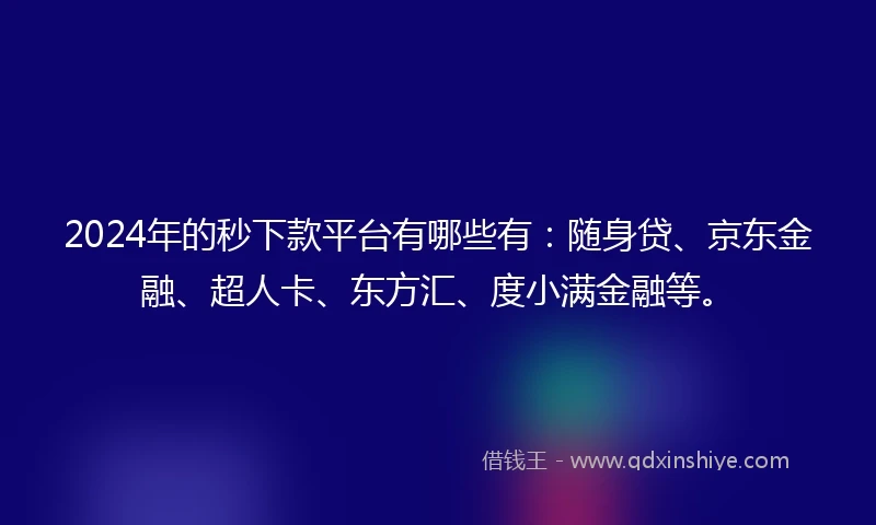 2024年的秒下款平台有哪些有：随身贷、京东金融、超人卡、东方汇、度小满金融等。