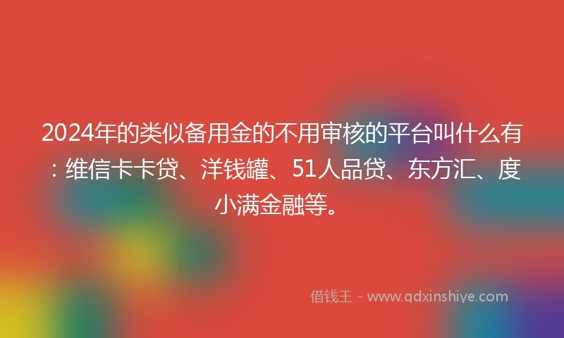 2024年的类似备用金的不用审核的平台叫什么有：维信卡卡贷、洋钱罐、51人品贷、东方汇、度小满金融等。