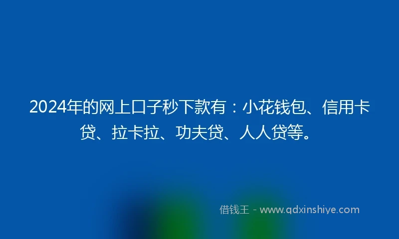 2024年的网上口子秒下款有：小花钱包、信用卡贷、拉卡拉、功夫贷、人人贷等。