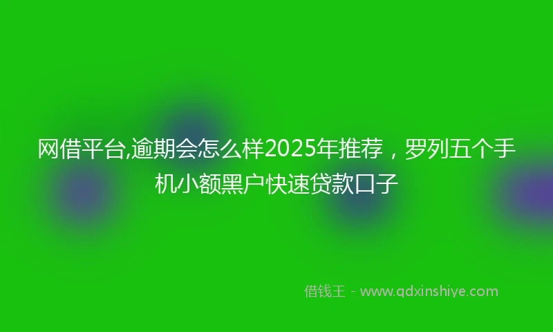 网借平台,逾期会怎么样2025年推荐，罗列五个手机小额黑户快速贷款口子
