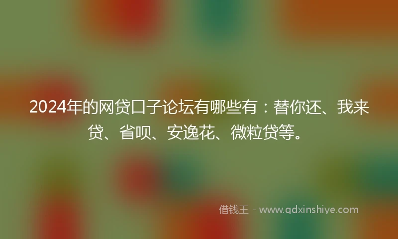 2024年的网贷口子论坛有哪些有：替你还、我来贷、省呗、安逸花、微粒贷等。