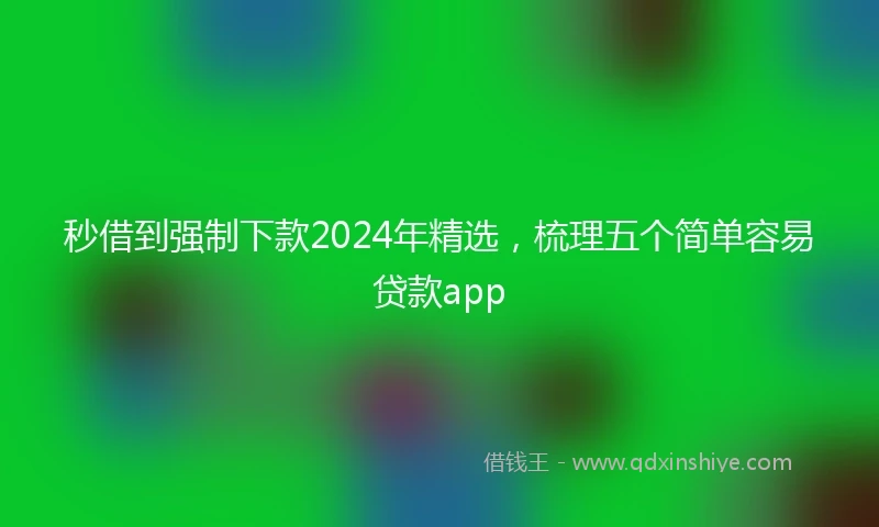 秒借到强制下款2024年精选，梳理五个简单容易贷款app