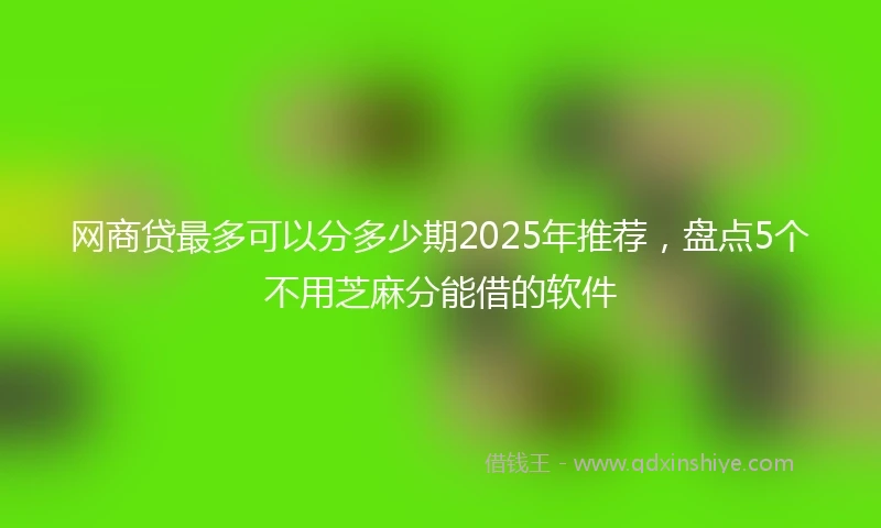 网商贷最多可以分多少期2025年推荐，盘点5个不用芝麻分能借的软件