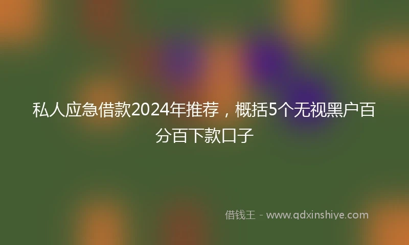私人应急借款2024年推荐，概括5个无视黑户百分百下款口子