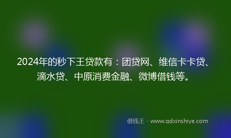 2024年的秒下王贷款有：团贷网、维信卡卡贷、滴水贷、中原消费金融、微博借钱等。