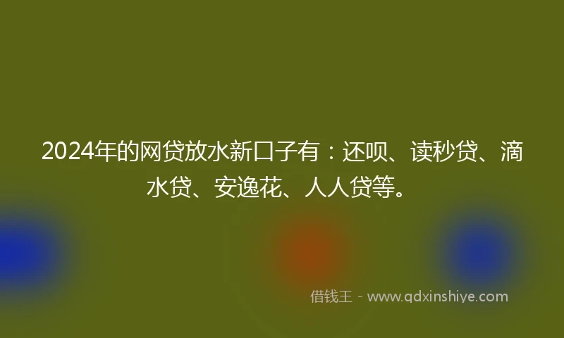 2024年的网贷放水新口子有：还呗、读秒贷、滴水贷、安逸花、人人贷等。