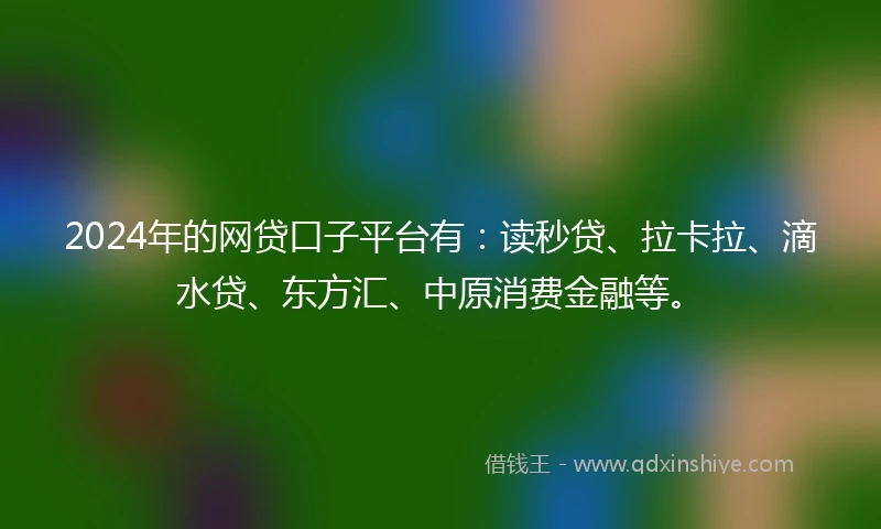 2024年的网贷口子平台有：读秒贷、拉卡拉、滴水贷、东方汇、中原消费金融等。