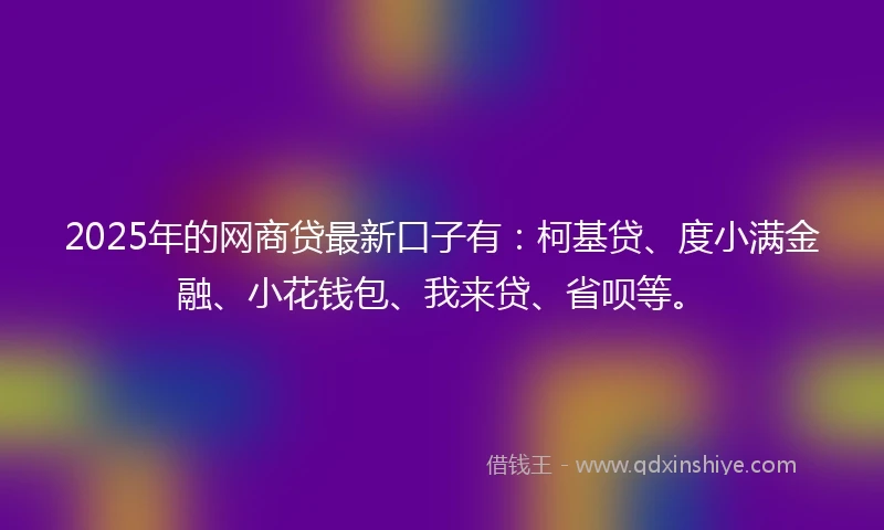 2025年的网商贷最新口子有：柯基贷、度小满金融、小花钱包、我来贷、省呗等。