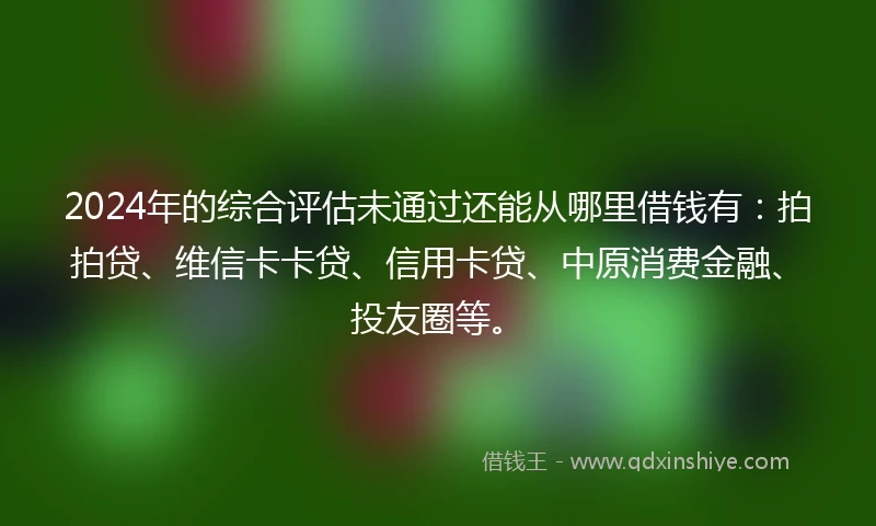 2024年的综合评估未通过还能从哪里借钱有：拍拍贷、维信卡卡贷、信用卡贷、中原消费金融、投友圈等。