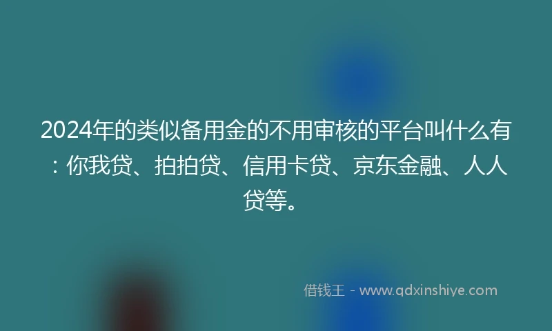 2024年的类似备用金的不用审核的平台叫什么有：你我贷、拍拍贷、信用卡贷、京东金融、人人贷等。