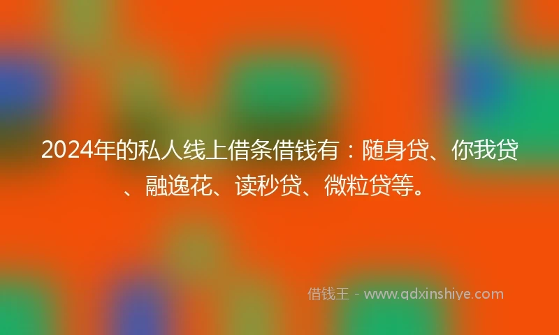 2024年的私人线上借条借钱有：随身贷、你我贷、融逸花、读秒贷、微粒贷等。