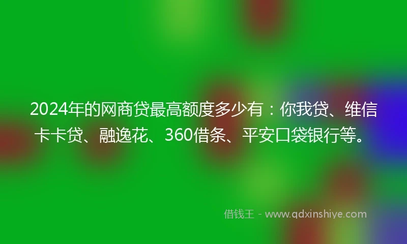 2024年的网商贷最高额度多少有：你我贷、维信卡卡贷、融逸花、360借条、平安口袋银行等。