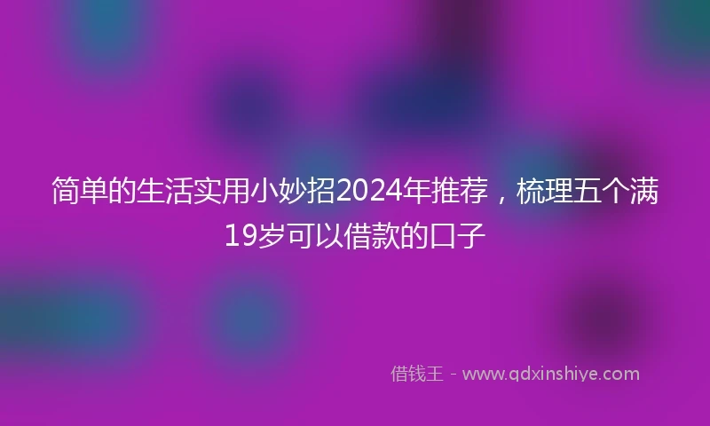 简单的生活实用小妙招2024年推荐，梳理五个满19岁可以借款的口子