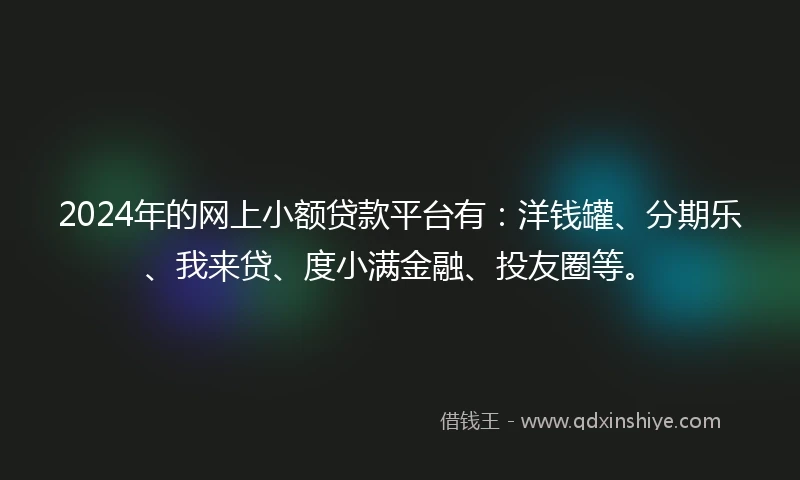 2024年的网上小额贷款平台有：洋钱罐、分期乐、我来贷、度小满金融、投友圈等。