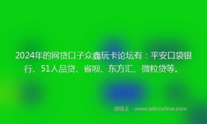 2024年的网贷口子众鑫玩卡论坛有：平安口袋银行、51人品贷、省呗、东方汇、微粒贷等。
