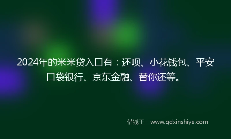 2024年的米米贷入口有：还呗、小花钱包、平安口袋银行、京东金融、替你还等。