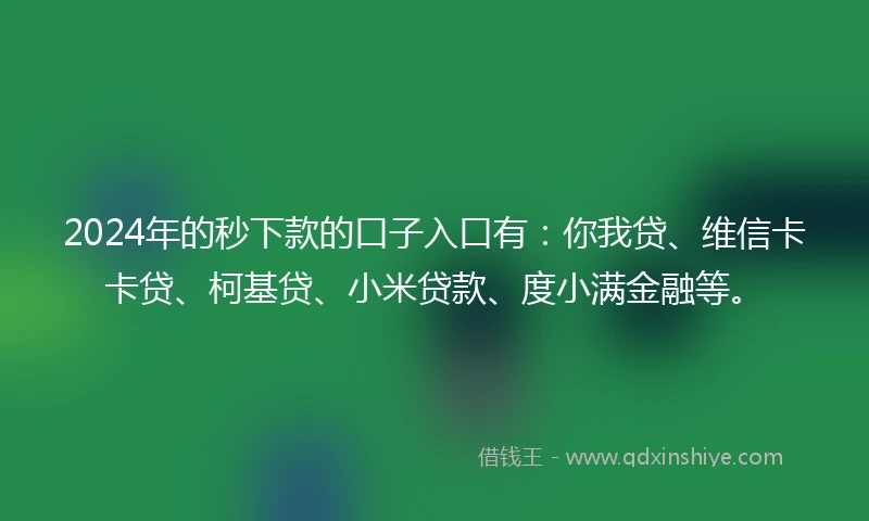 2024年的秒下款的口子入口有：你我贷、维信卡卡贷、柯基贷、小米贷款、度小满金融等。
