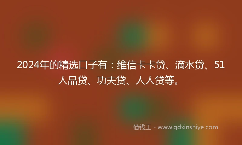 2024年的精选口子有：维信卡卡贷、滴水贷、51人品贷、功夫贷、人人贷等。