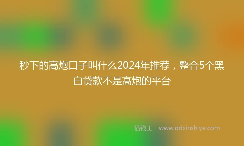 秒下的高炮口子叫什么2024年推荐，整合5个黑白贷款不是高炮的平台