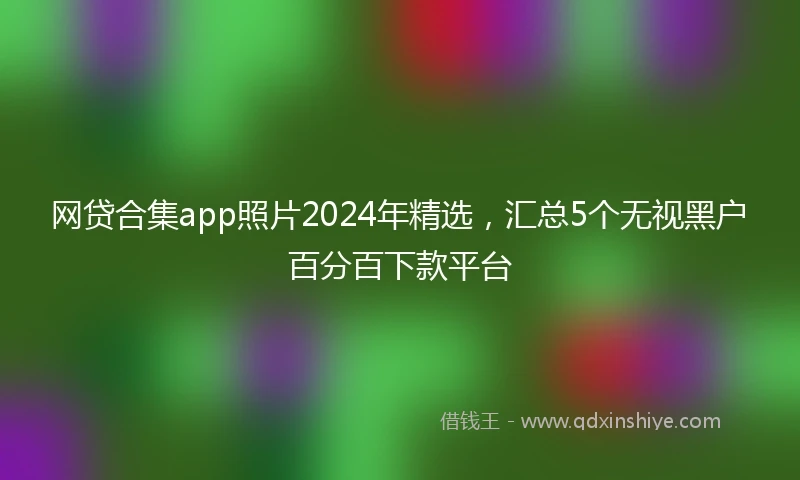 网贷合集app照片2024年精选,汇总5个无视黑户百分百下款平台