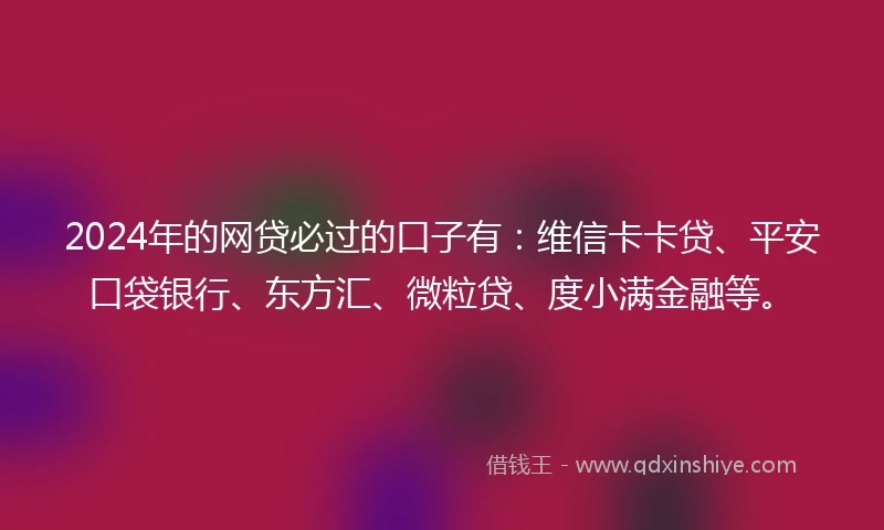 2024年的网贷必过的口子有：维信卡卡贷、平安口袋银行、东方汇、微粒贷、度小满金融等。