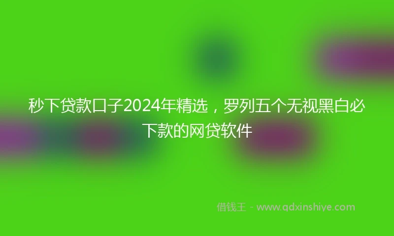 秒下贷款口子2024年精选，罗列五个无视黑白必下款的网贷软件