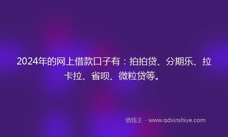 2024年的网上借款口子有：拍拍贷、分期乐、拉卡拉、省呗、微粒贷等。