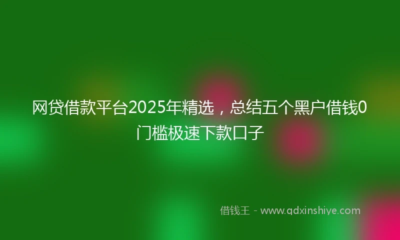 网贷借款平台2025年精选，总结五个黑户借钱0门槛极速下款口子