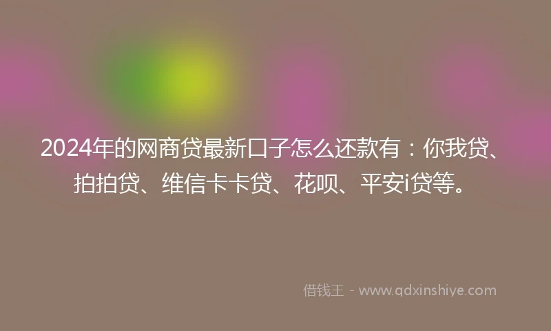2024年的网商贷最新口子怎么还款有：你我贷、拍拍贷、维信卡卡贷、花呗、平安i贷等。